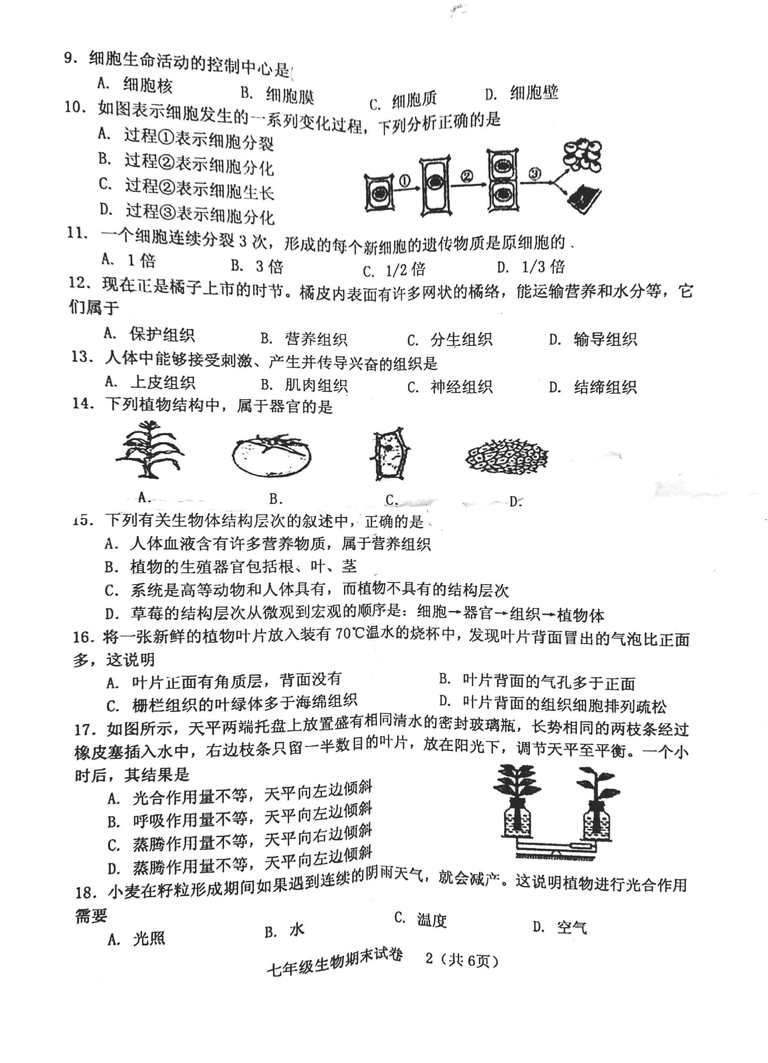 2019-2020福建龙岩初一生物上册期末试题无答案