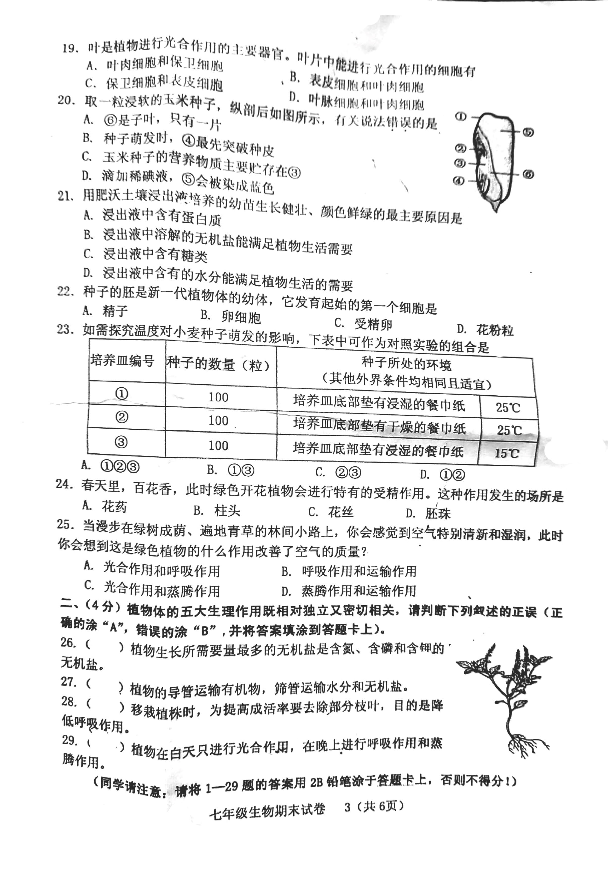 2019-2020福建龙岩初一生物上册期末试题无答案