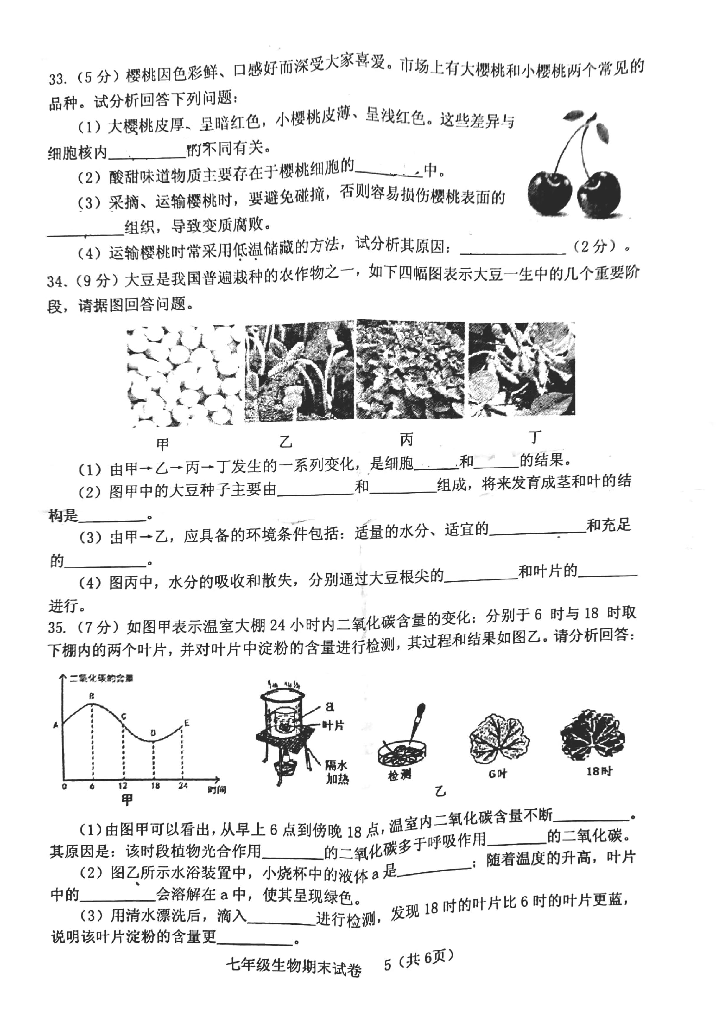 2019-2020福建龙岩初一生物上册期末试题无答案