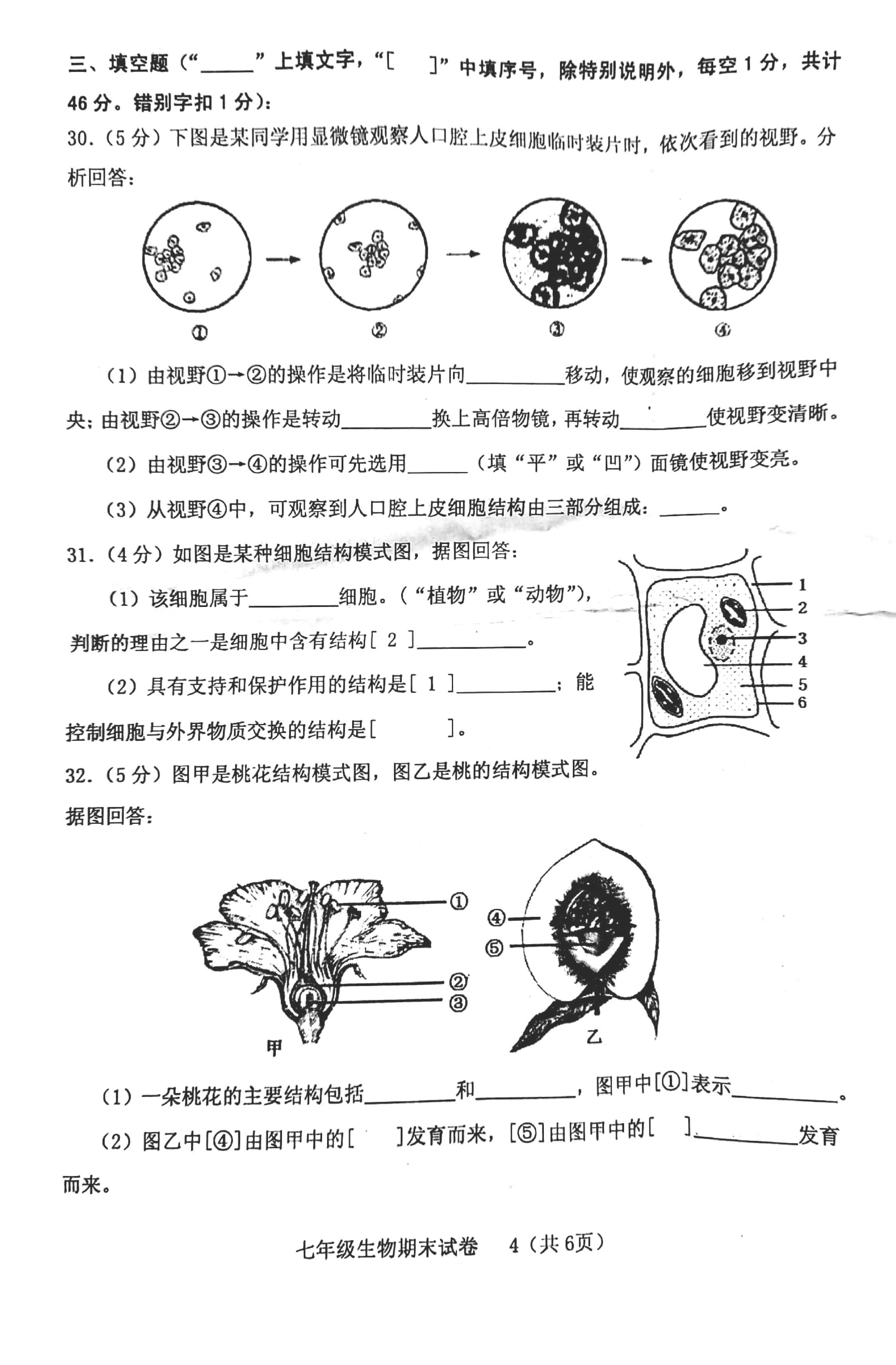 2019-2020福建龙岩初一生物上册期末试题无答案