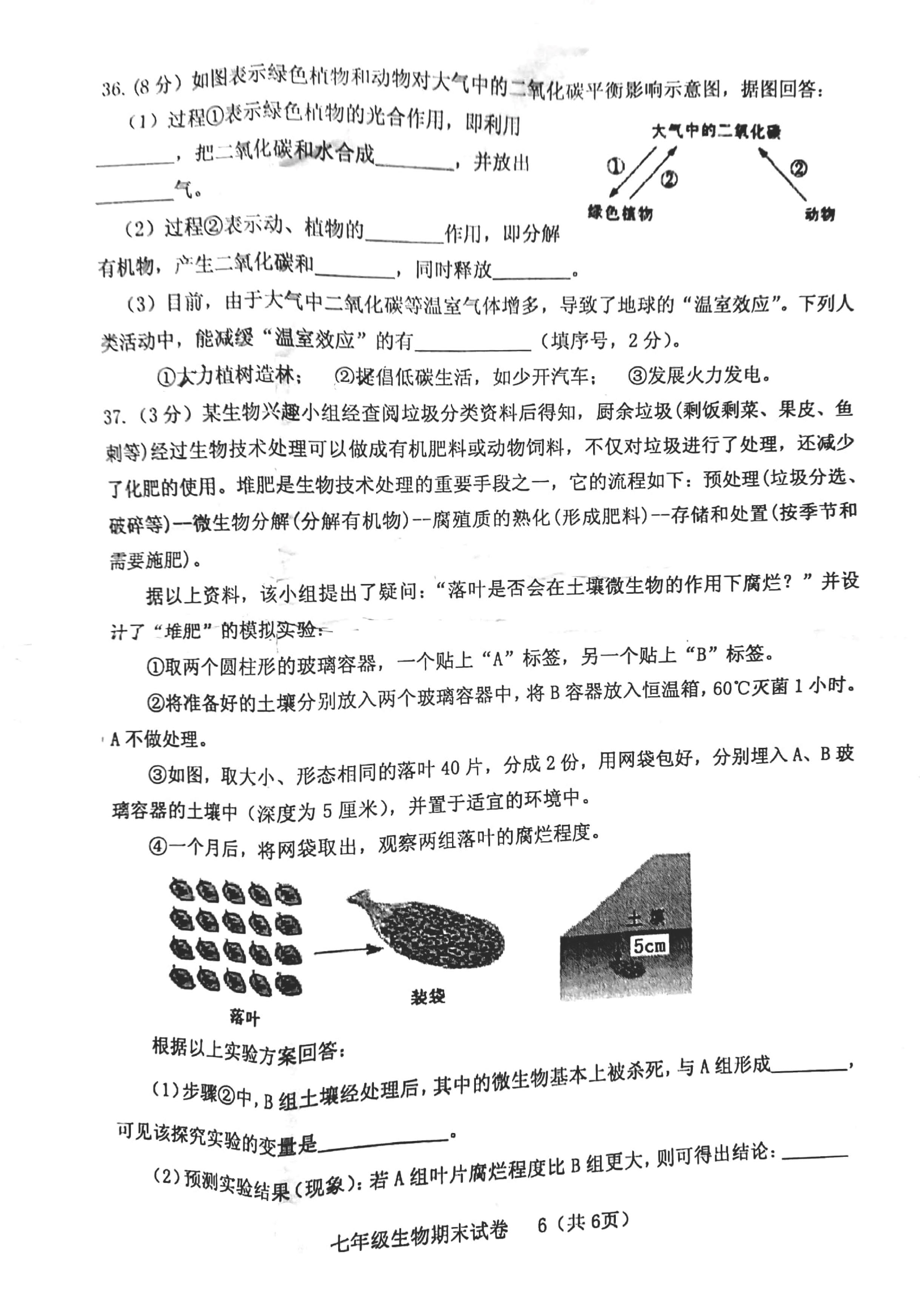 2019-2020福建龙岩初一生物上册期末试题无答案