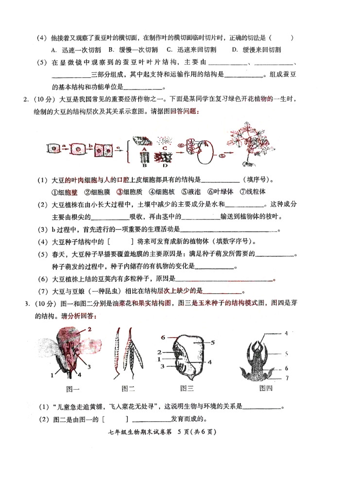 2019-2020广东揭阳初一生物上册期末试题无答案