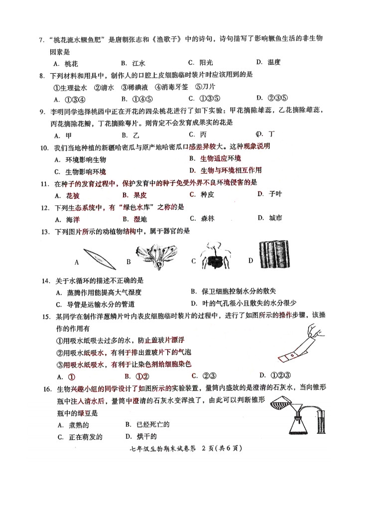 2019-2020揭阳榕城区初一生物上册期末试题无答案