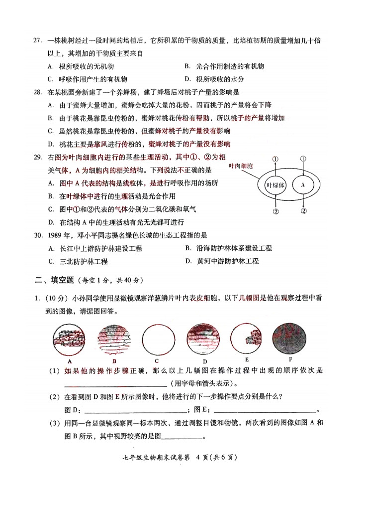 2019-2020揭阳榕城区初一生物上册期末试题无答案