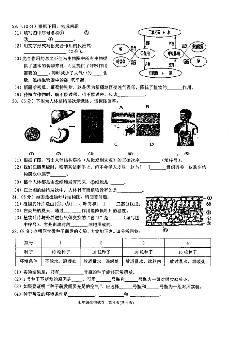 2019-2020贵州黔东南州初一生物上册期末试题无答案