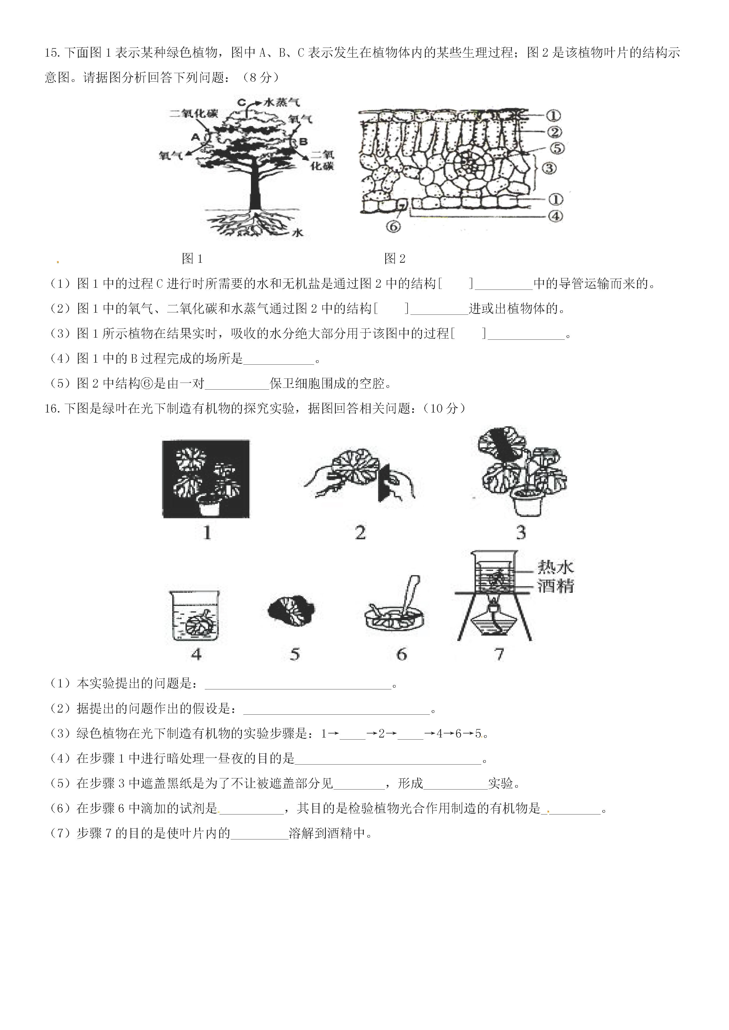 2019-2020内蒙古兴安盟初一生物上册期末试题含答案