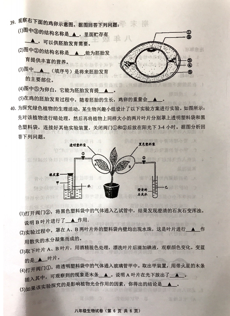 2019-2020江苏扬中初二生物上册期末试题含答案（图片版）