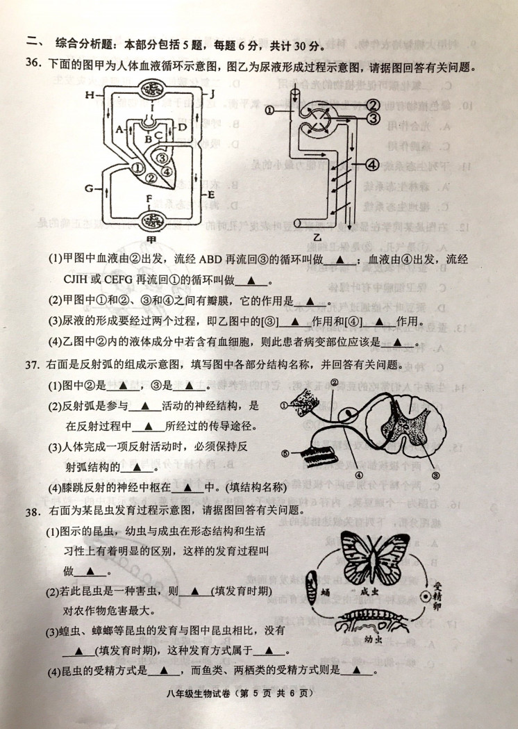 2019-2020江苏扬中初二生物上册期末试题含答案（图片版）