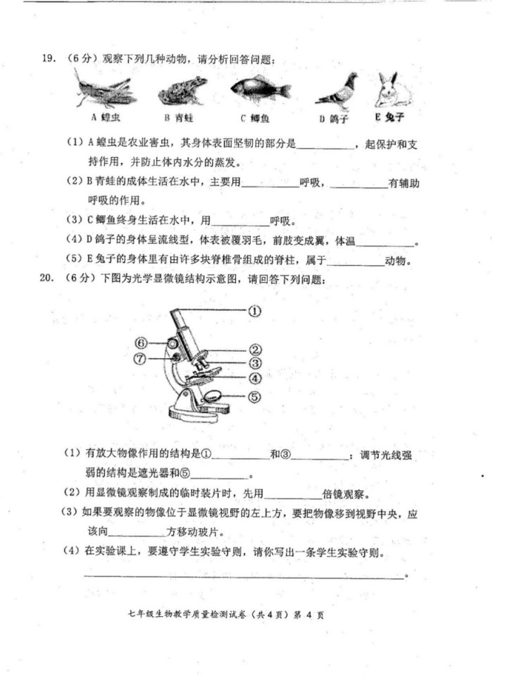 2019-2020广西柳州初一生物上册期末试题含答案