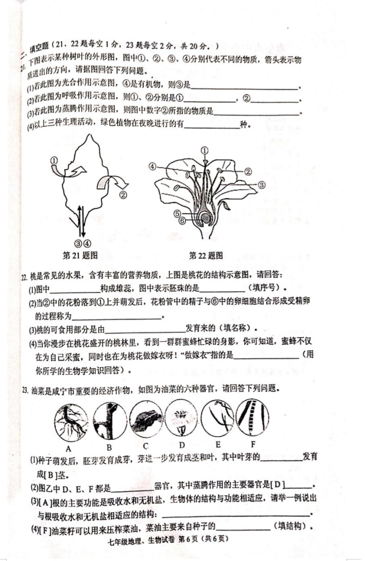 2019-2020湖北赤壁初一生物上册期末试题无答案