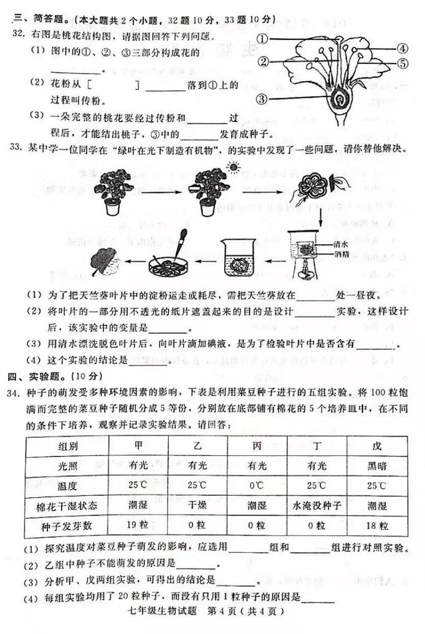 2019-2020邢台桥东区初一生物上册期末试题含答案