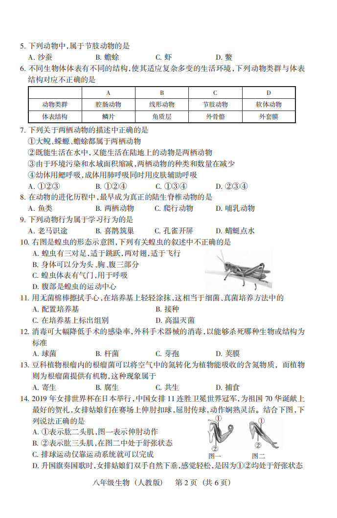 2019-2020山西临汾地区初二生物上册期末试题含答案