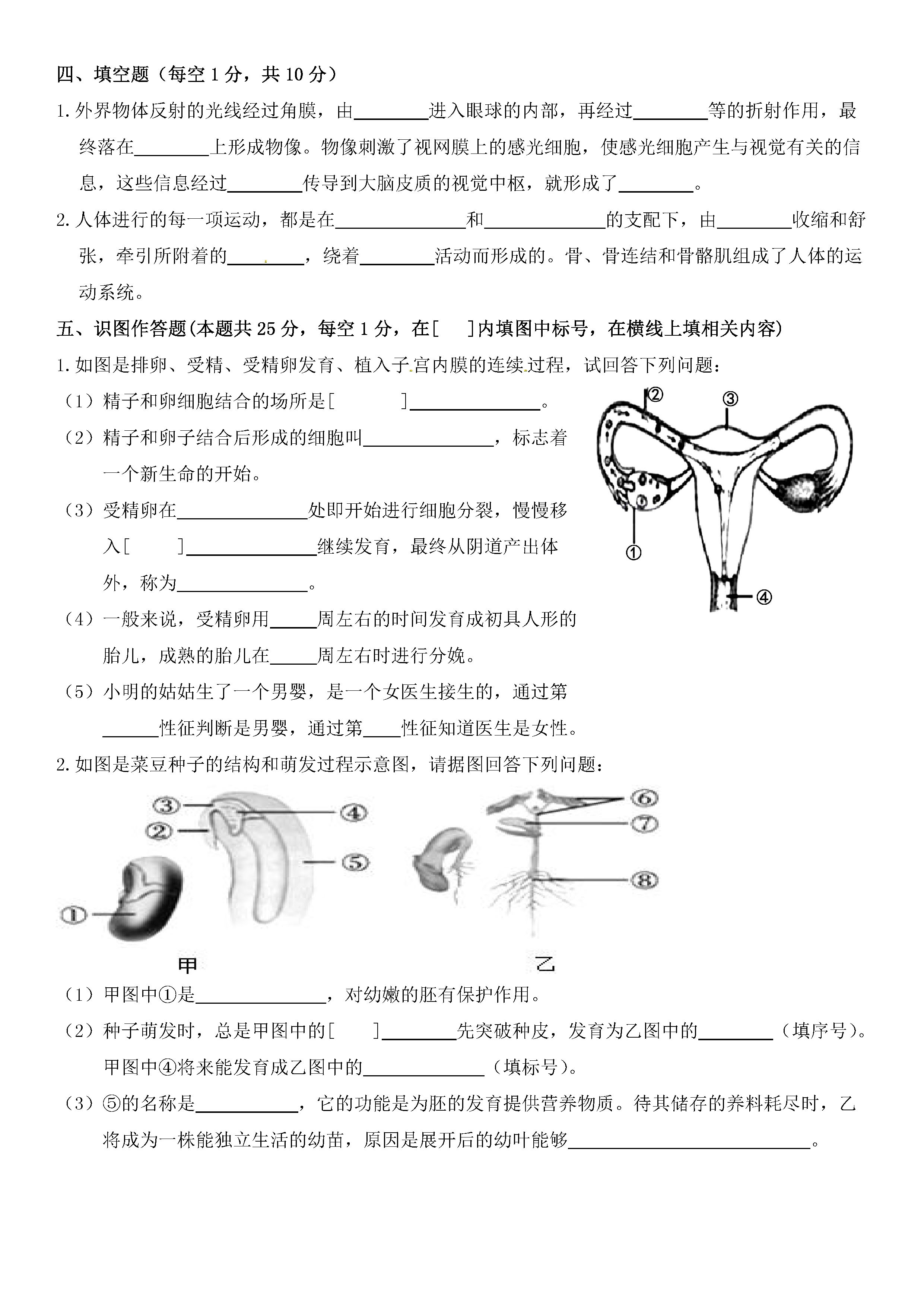 2019-2020宁夏大学附中初二生物上期末试题无答案