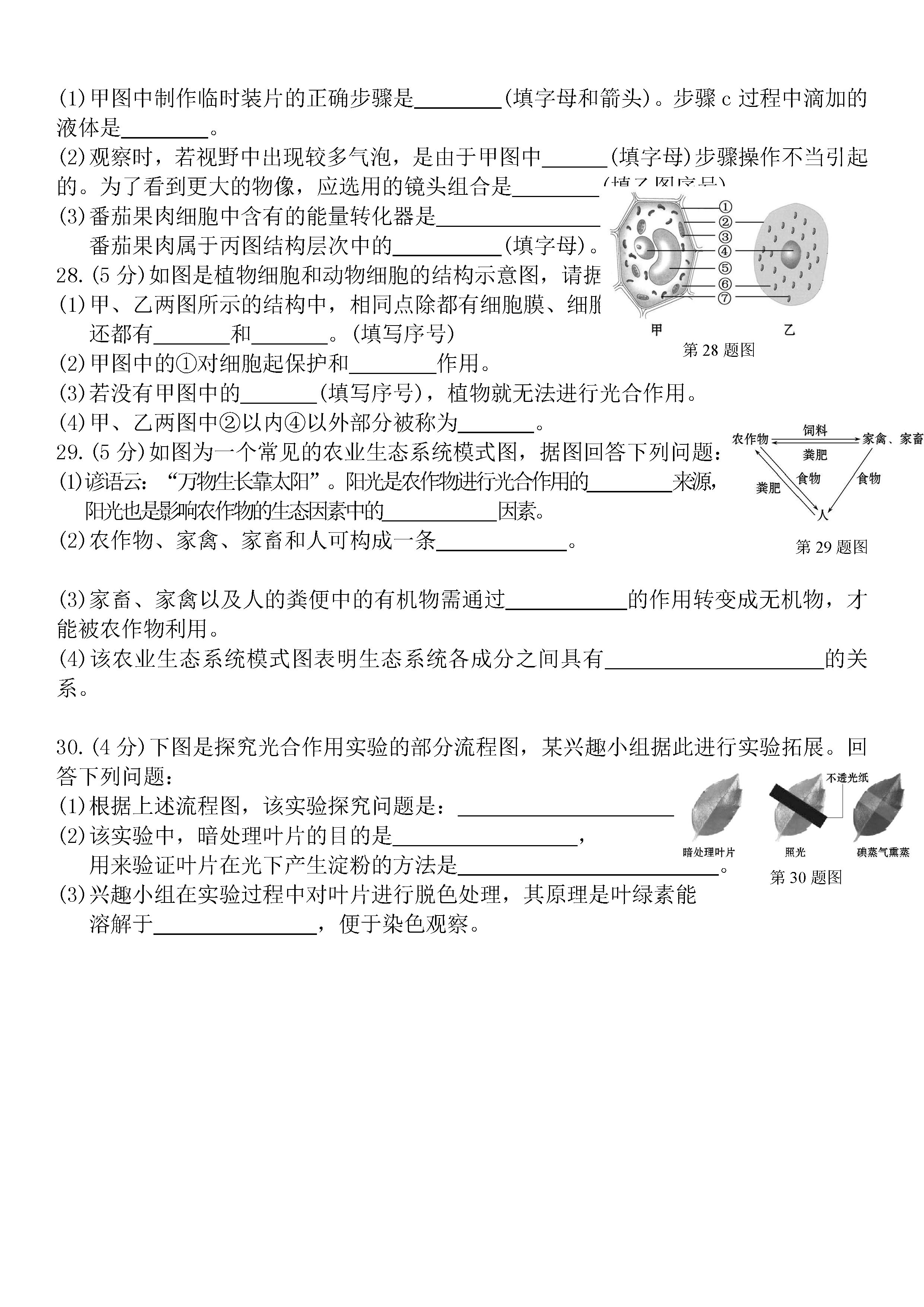 2019-2020福建龙岩初二生物上册期末试题无答案