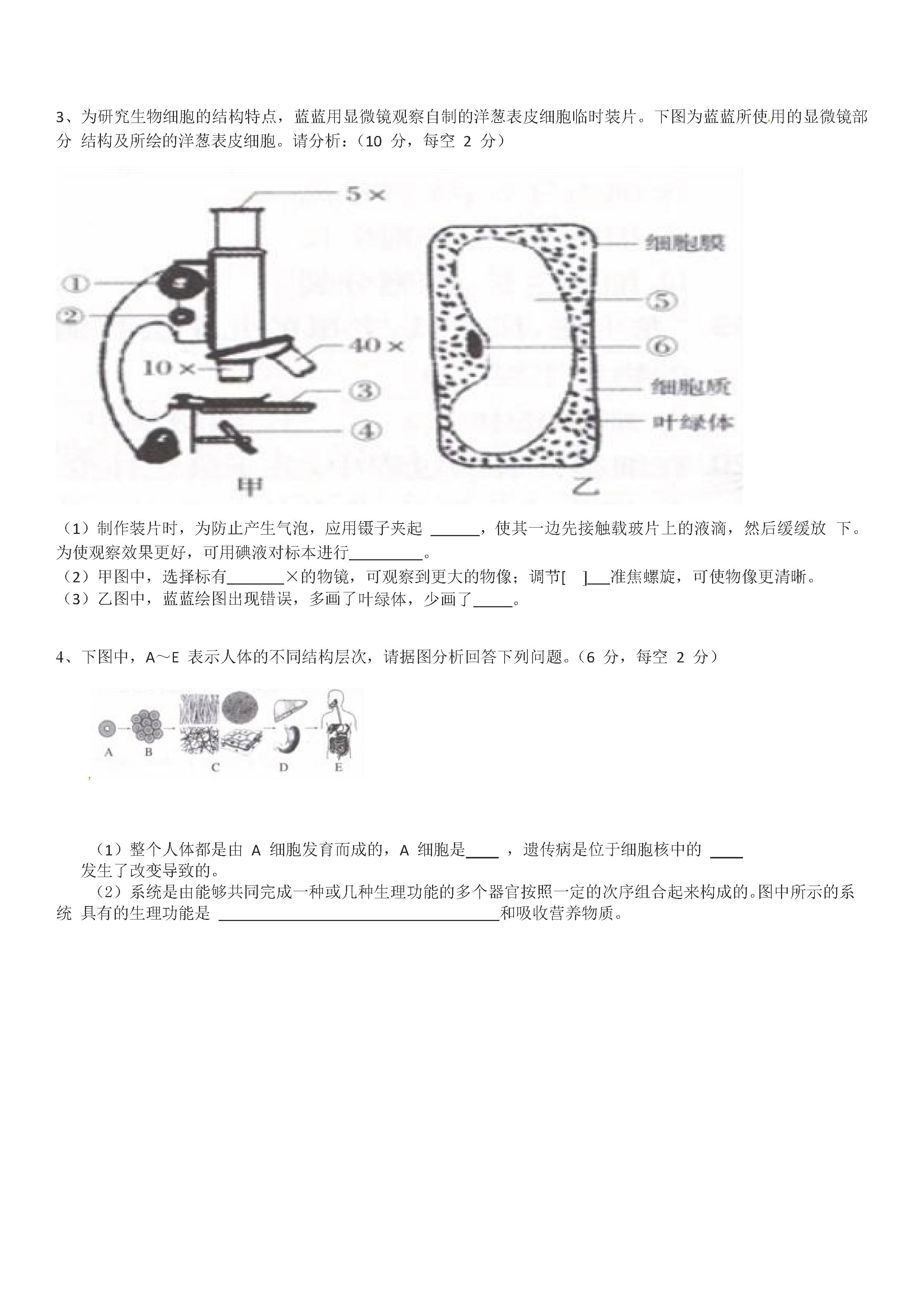 2019-2020重庆忠县三汇中学初一生物上期末试题含答案