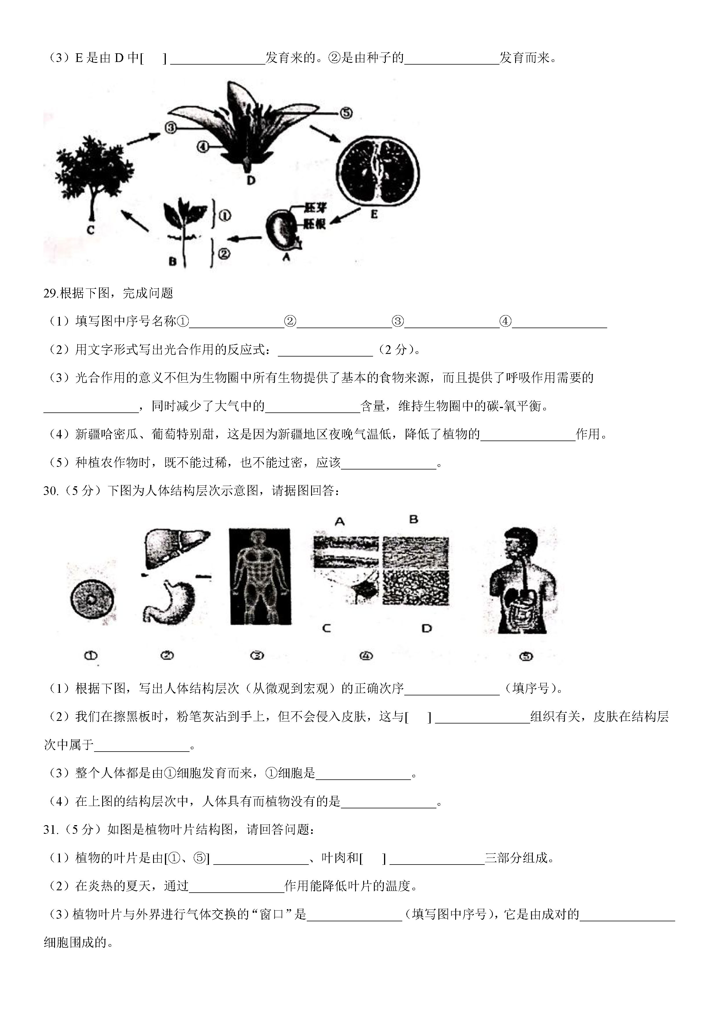 2019-2020贵州黔东南州初一生物上期末试题含答案