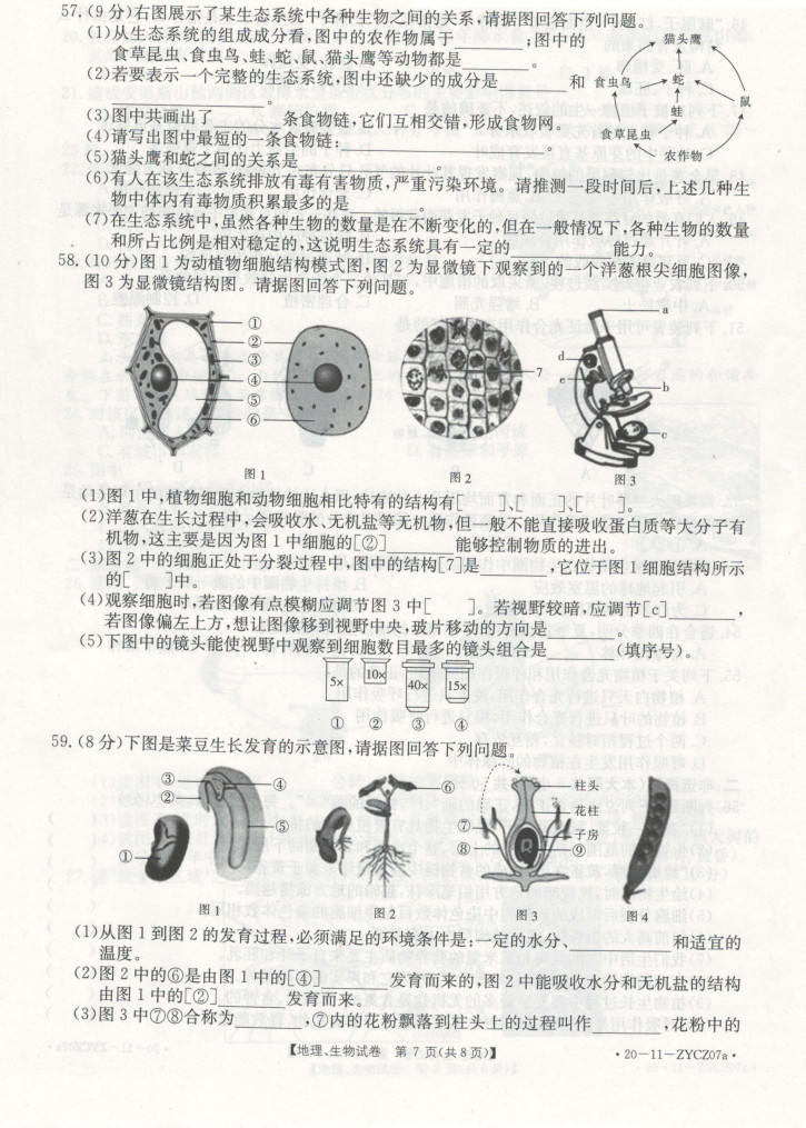 2019-2020贵州黔南州初一生物上册期末试题含答案