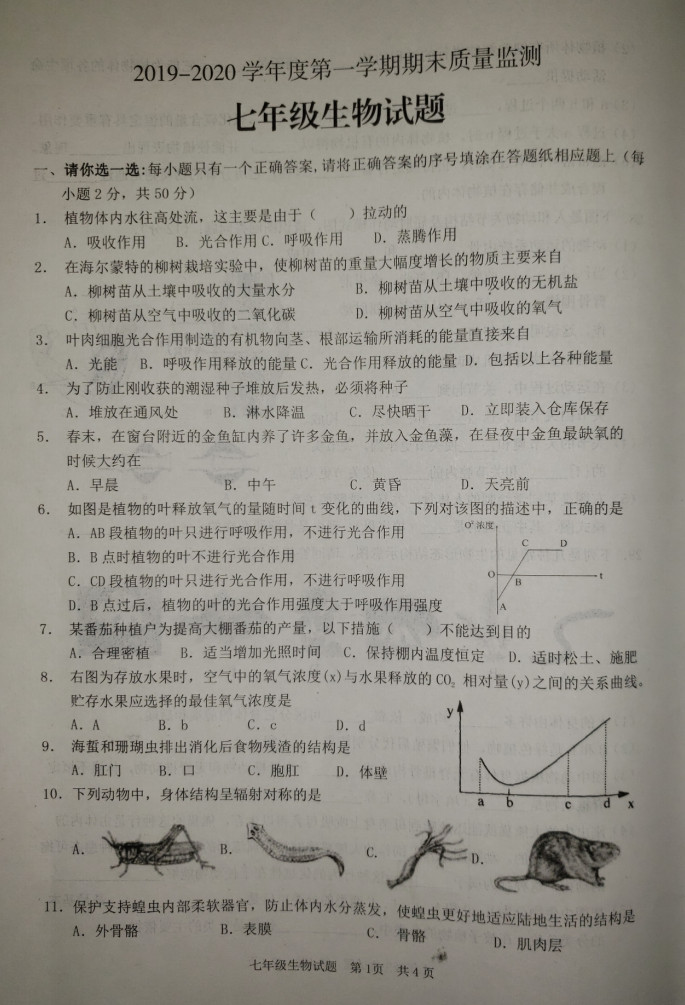 2019-2020山东枣庄初一生物上期末试题含答案（图片版）