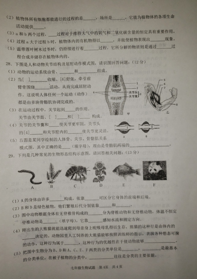 2019-2020山东枣庄初一生物上期末试题含答案（图片版）