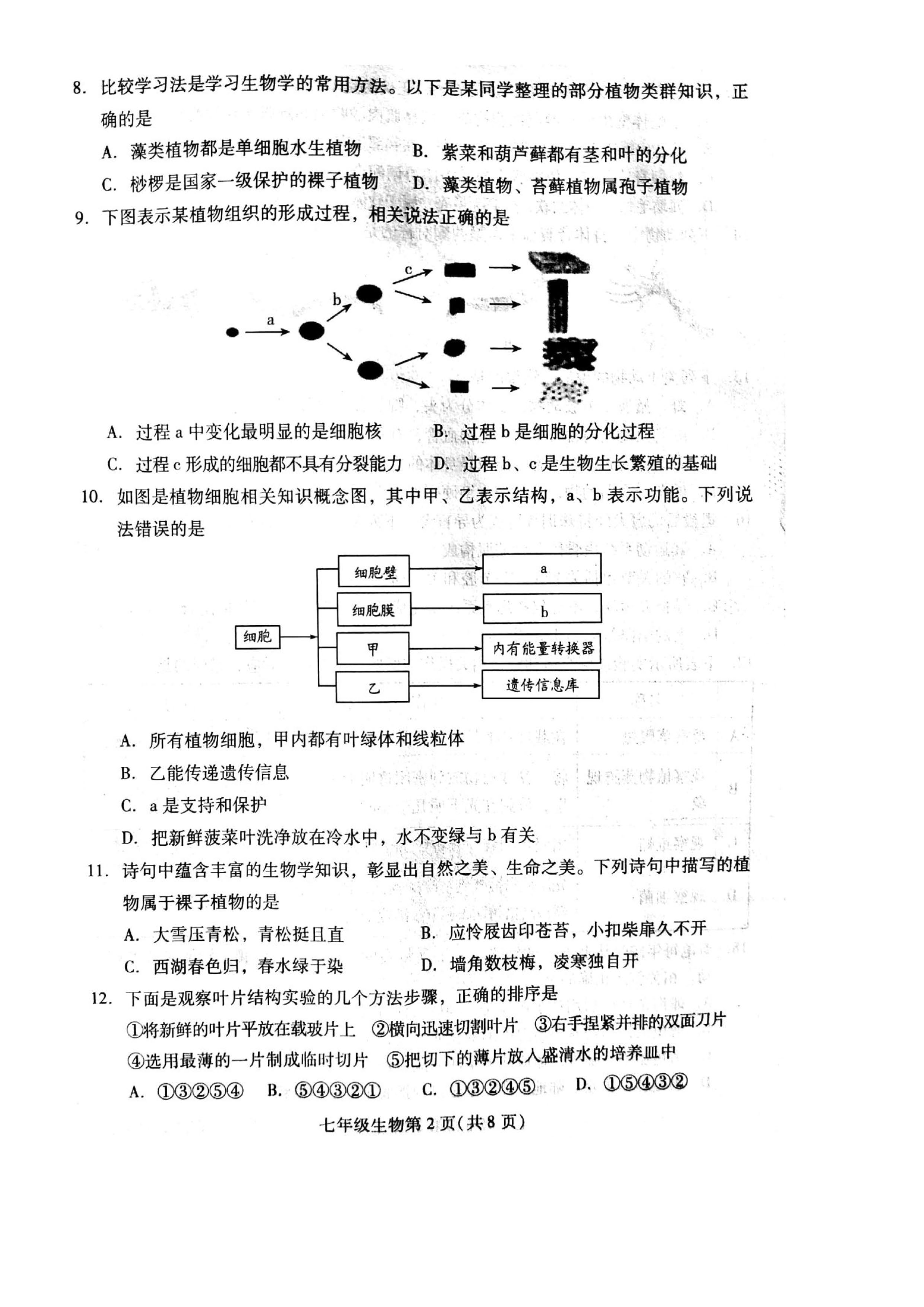 2019-2020山东东营初一生物上期末试题含答案