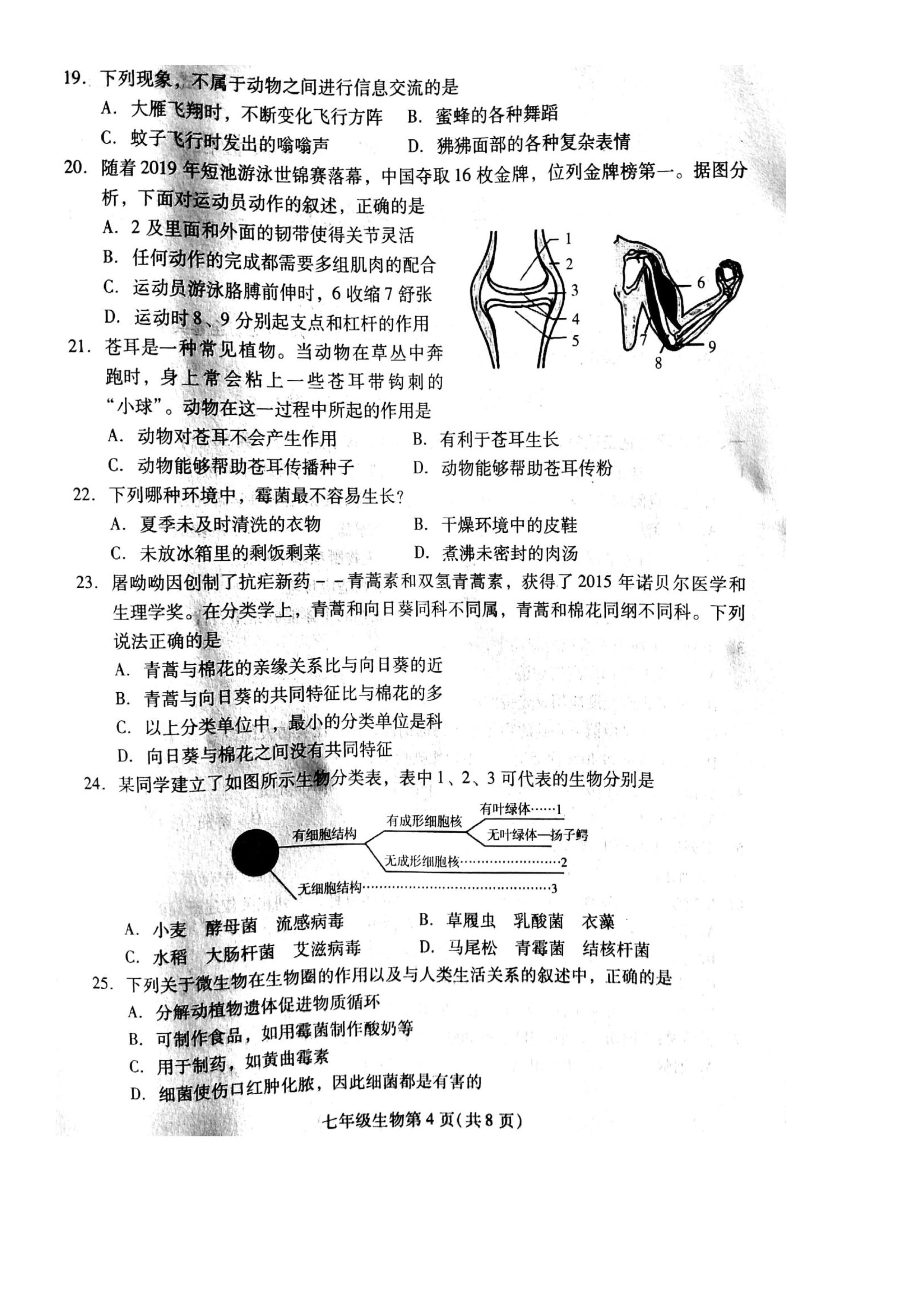 2019-2020山东东营初一生物上期末试题含答案