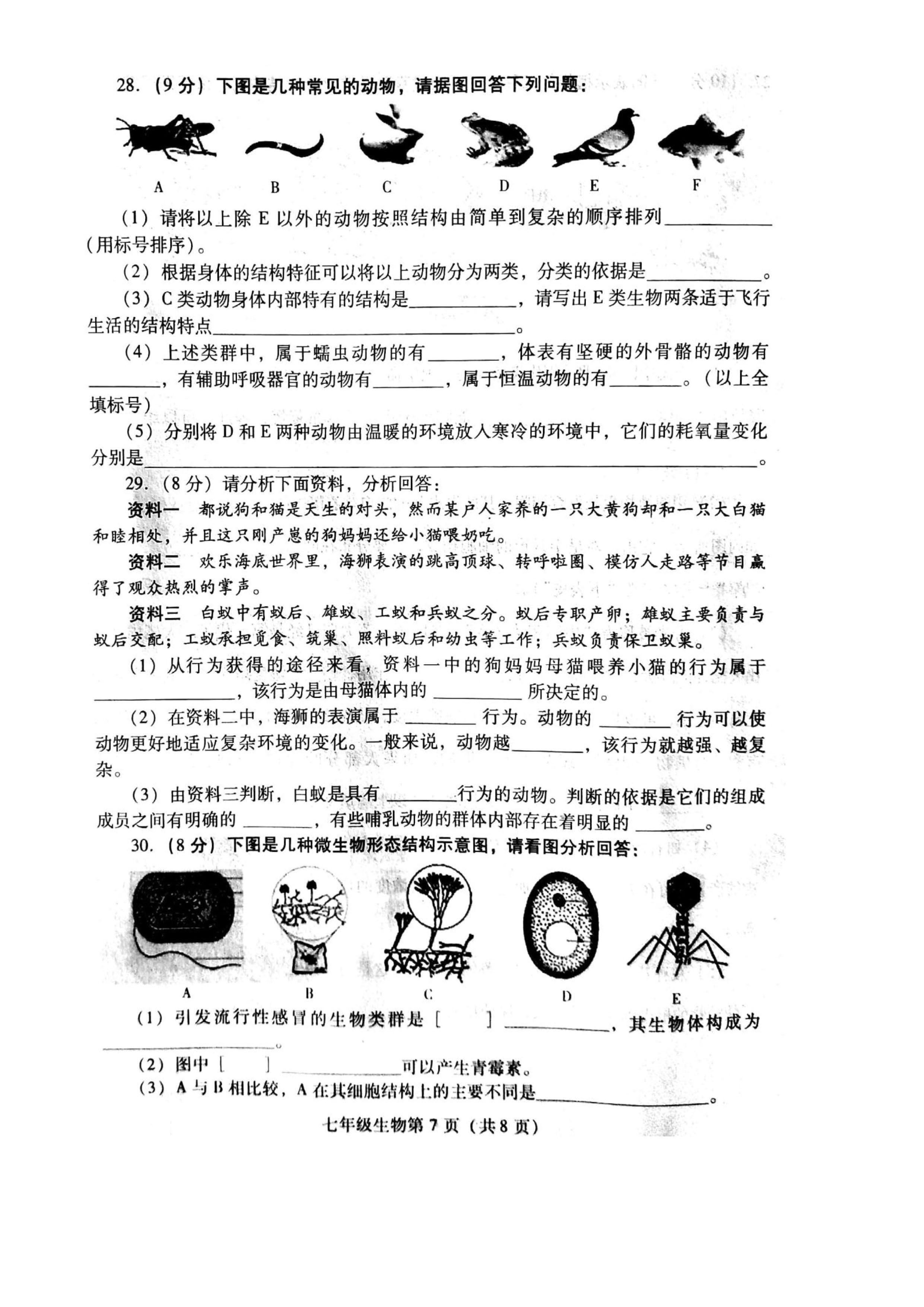 2019-2020山东东营初一生物上期末试题含答案