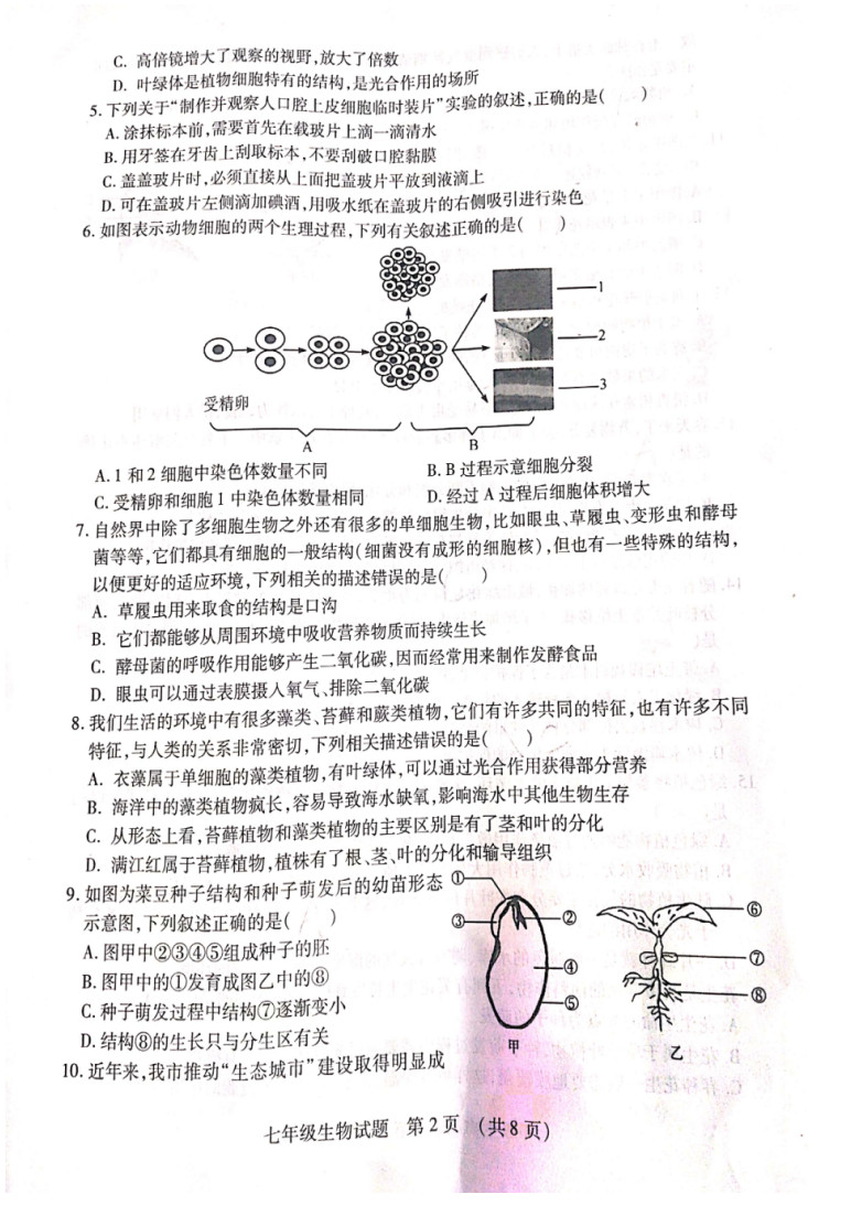 2019-2020山东临沂初一生物上期末试题无答案