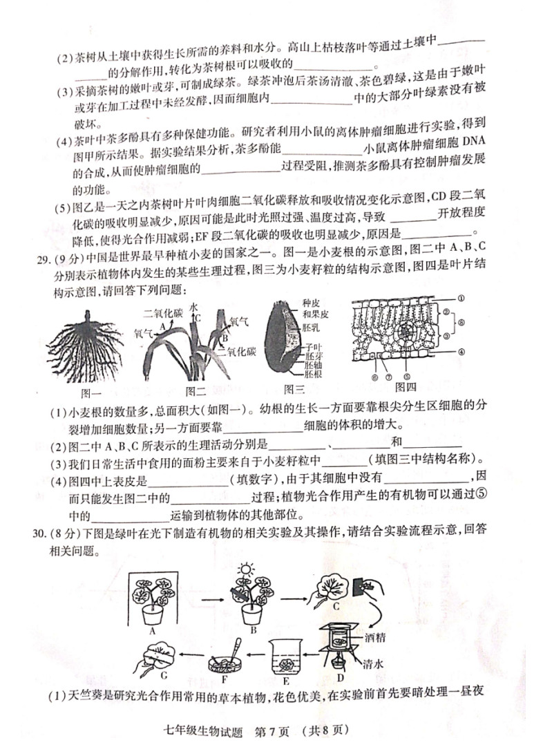 2019-2020山东临沂初一生物上期末试题无答案