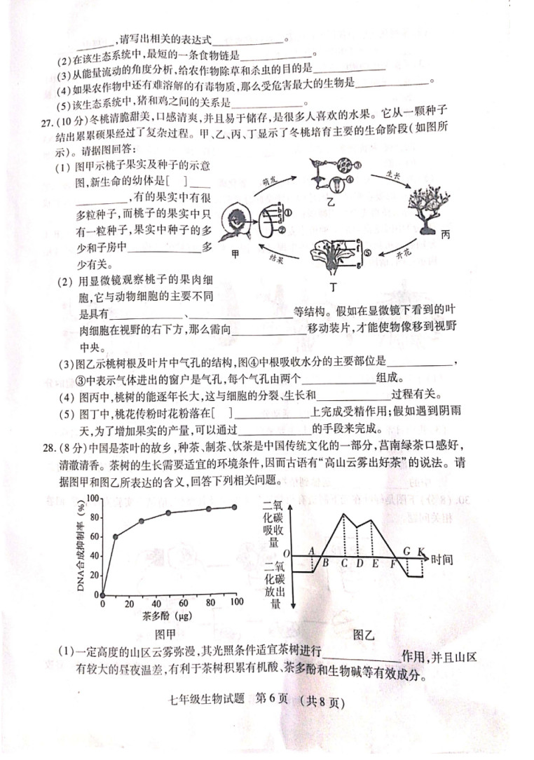 2019-2020山东临沂初一生物上期末试题无答案