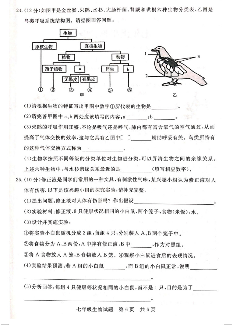 2019-2020山东济宁初一生物上期末试题无答案