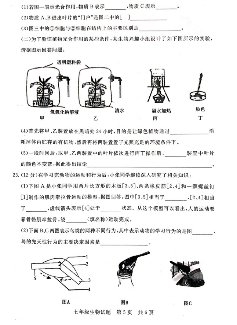 2019-2020山东济宁初一生物上期末试题无答案