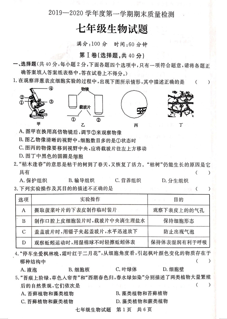 2019-2020山东兖州区初一生物上期末试题无答案