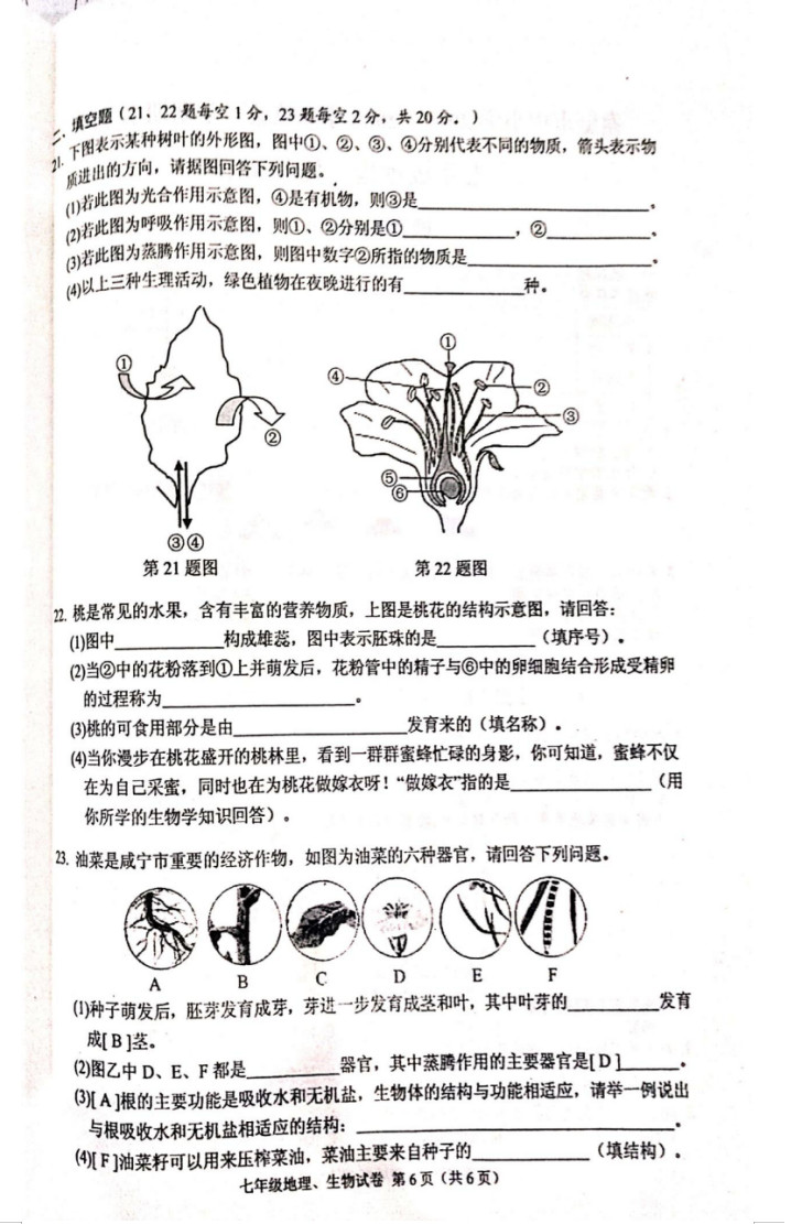 2019-2020湖北赤壁市中学初一生物上期末试题无答案