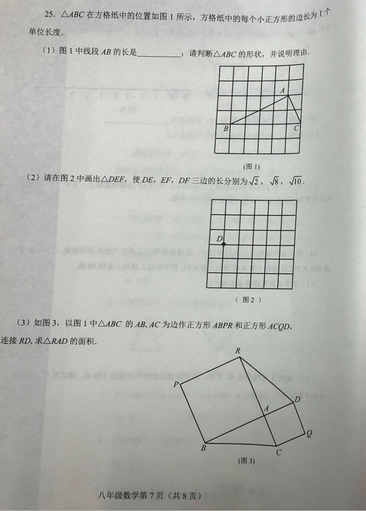 2019-2020河北石家庄初二数学上期末试题无答案（图片版）