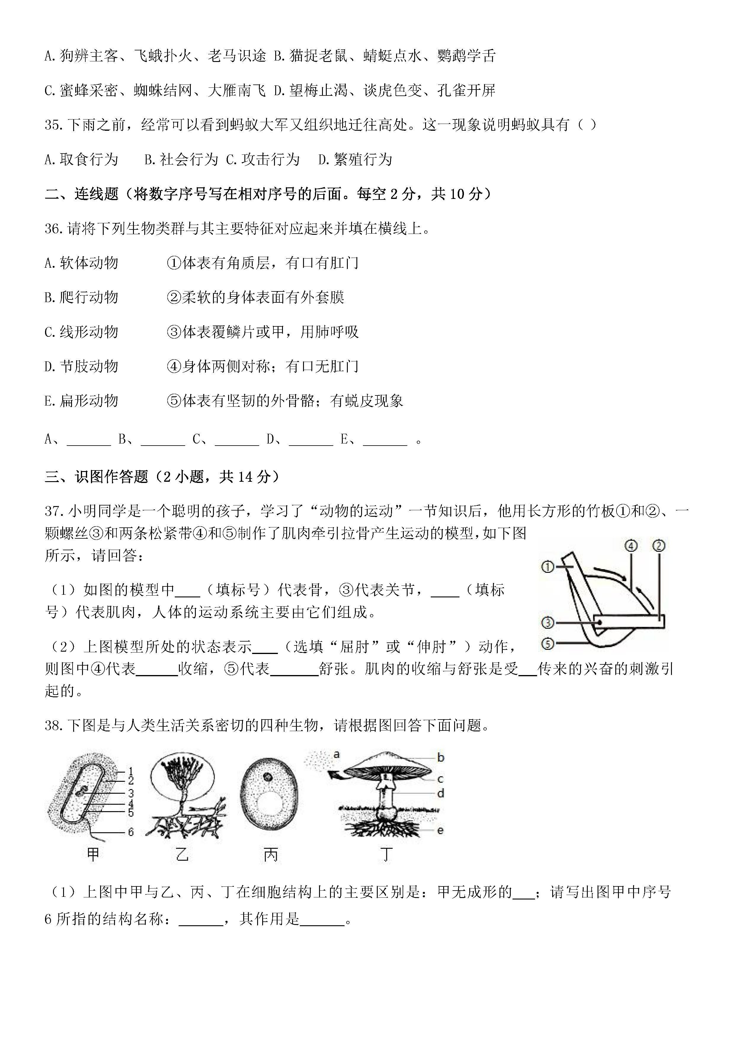 2019-2020西藏拉萨北京实验中学初二生物上期末试题无答案