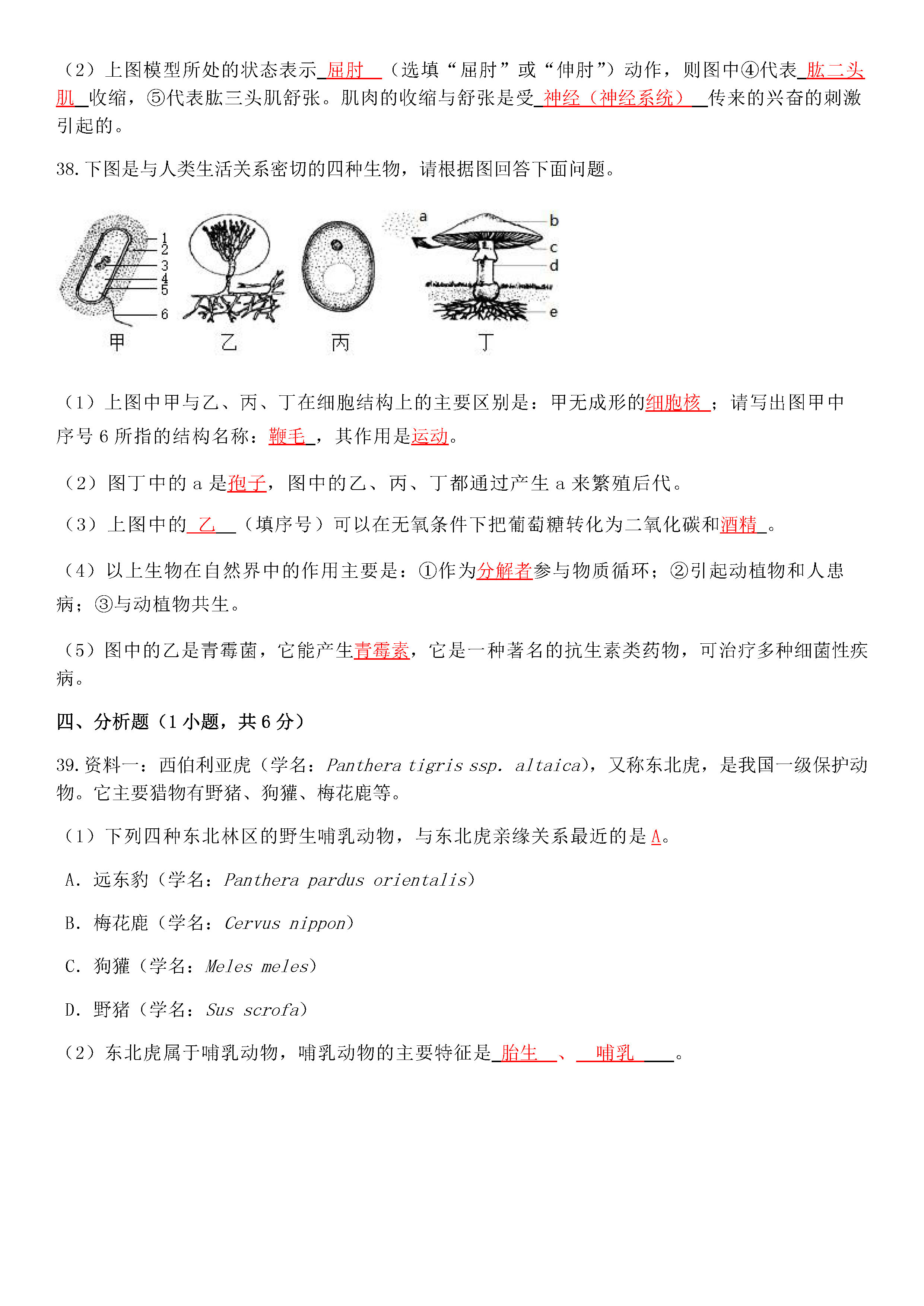 2019-2020西藏拉萨北京实验中学初一生物上期末试题含答案