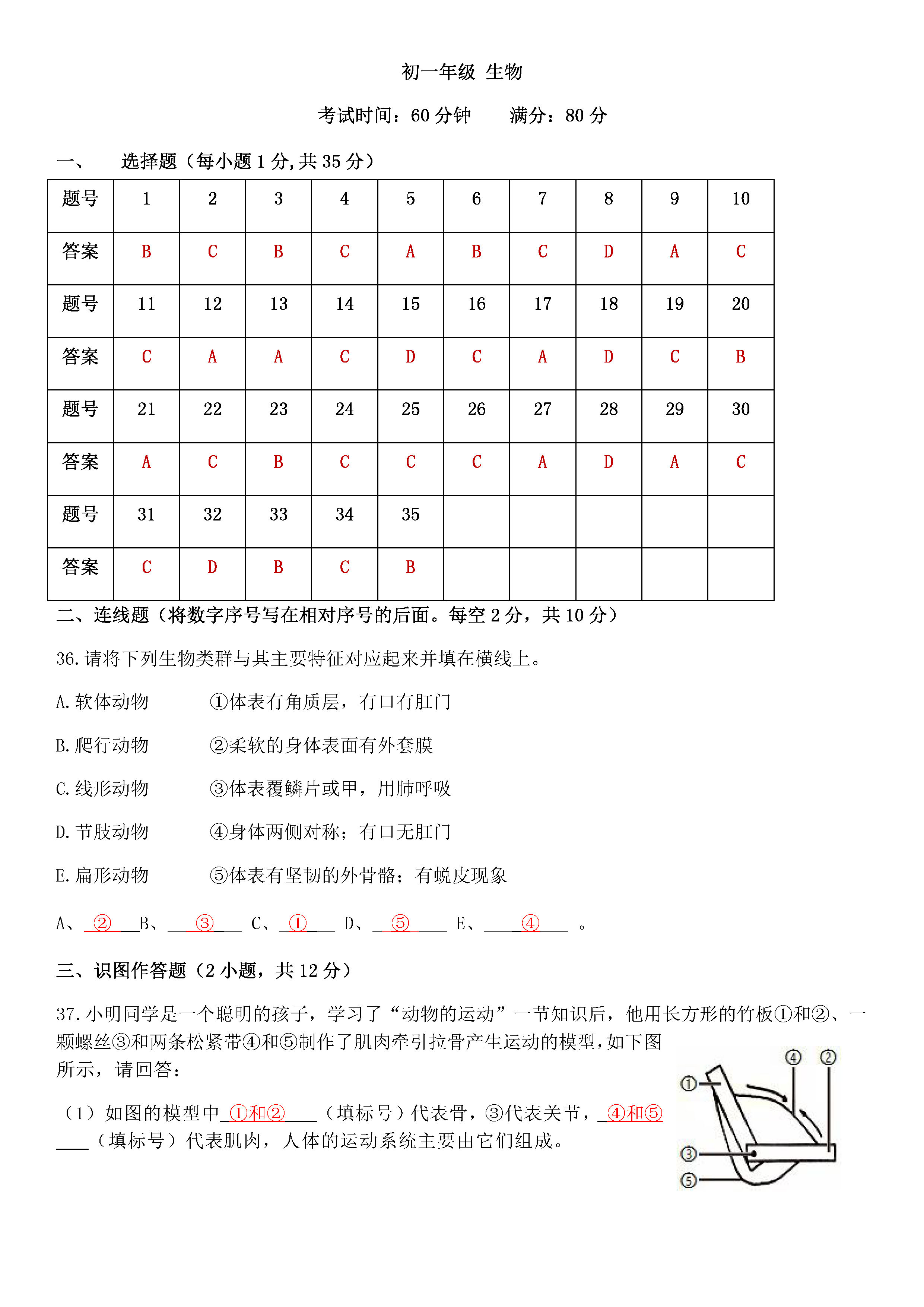 2019-2020西藏拉萨北京实验中学初一生物上期末试题含答案