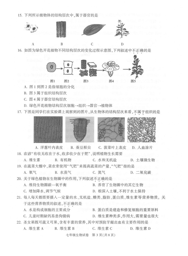 2019-2020北京顺义区初一生物上期末试题含答案