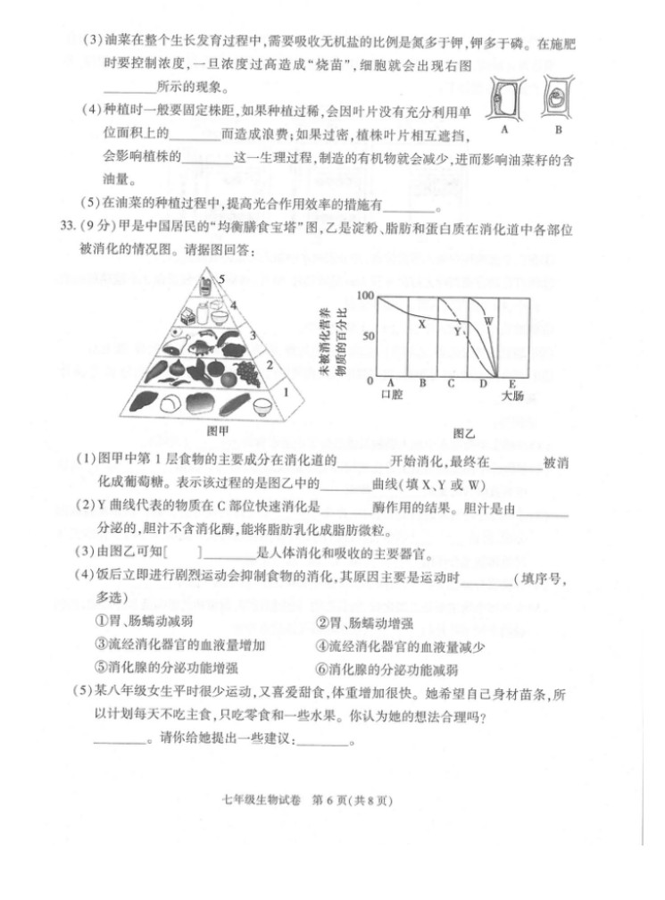 2019-2020北京顺义区初一生物上期末试题含答案