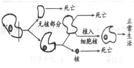 初一生物知识点,七年级生物测试题,初一生物同步训练