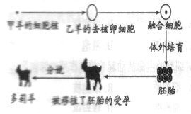 初一生物知识点,七年级生物测试题,初一生物同步训练