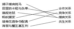 初一生物上册《生物与环境的相互影响》同步测试题