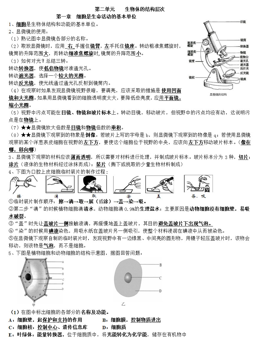 七年级生物上册知识点整理：第二单元 生物体的结构层次（人教版）