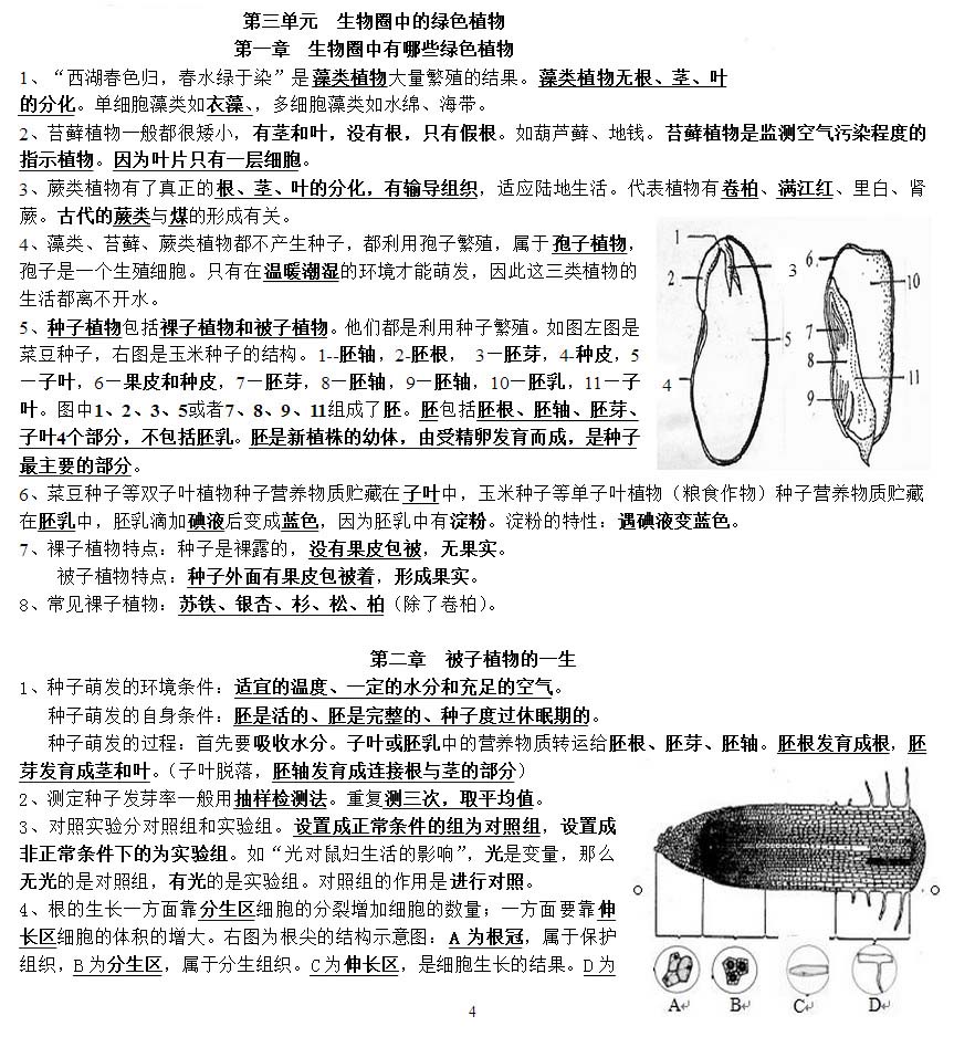 七年级生物上册知识点整理：第三单元 生物圈中的绿色植物（人教版）