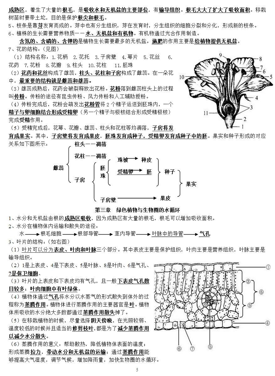 七年级生物上册知识点整理：第三单元 生物圈中的绿色植物（人教版）