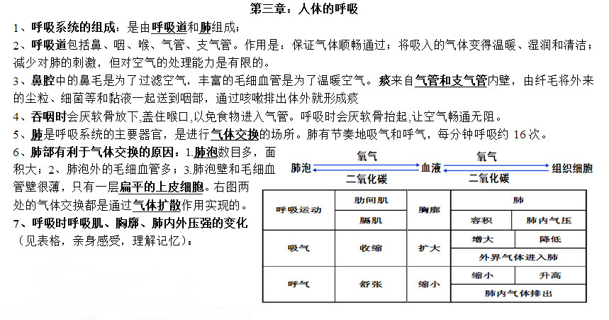 七年级生物下册知识点整理：第三章 人体的呼吸（人教版）