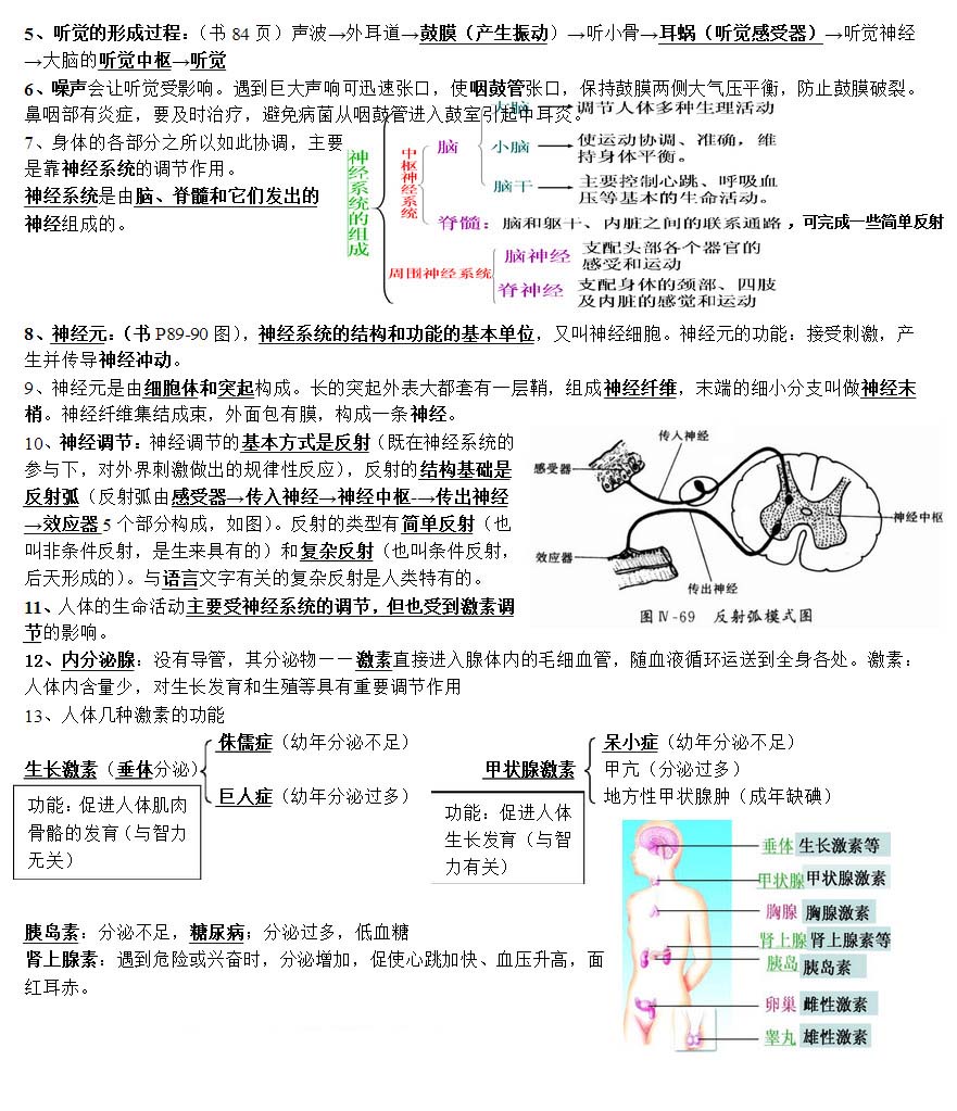 七年级生物下册知识点整理：第六章 人体生命活动的调节（人教版）