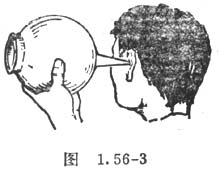 中学生物理小常识：声音的共鸣