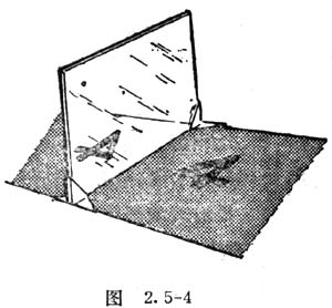 中学生物理小常识：平面镜成像