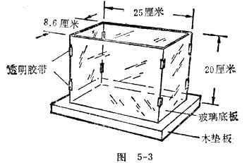 中学物理实验：自制透光水槽